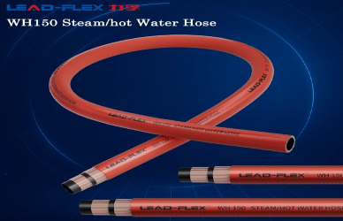 Steam Hose