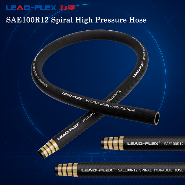 GB/T10544 SAE100 R12